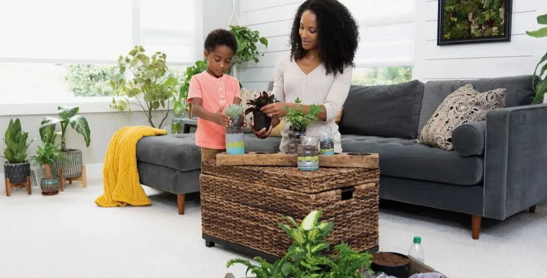 Which Carpet is Best for Living Rooms