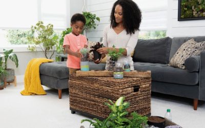 Which Carpet is Best for Living Rooms