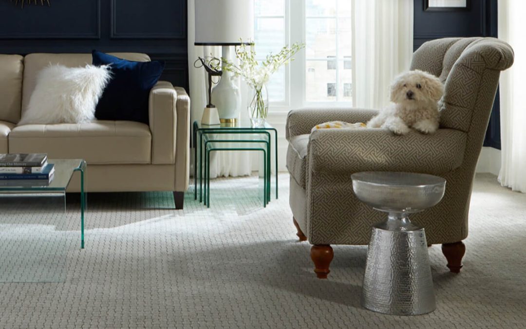 Stain Resistant Carpet Options for Every Home