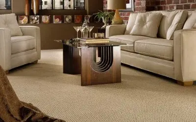 Berber vs. Frieze vs. Plush: Choosing the Right Carpet for Your Home