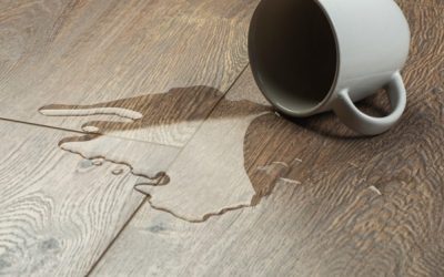 Best Waterproof Flooring Options for Bathrooms