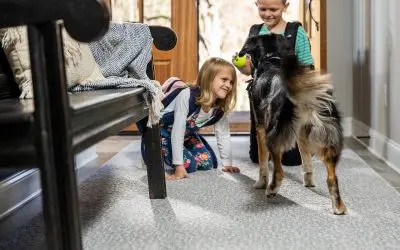 Top Flooring Choices for Households with Dogs and Other Pets