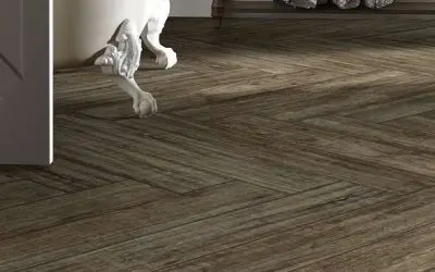 Cleaning and Maintaining Tile