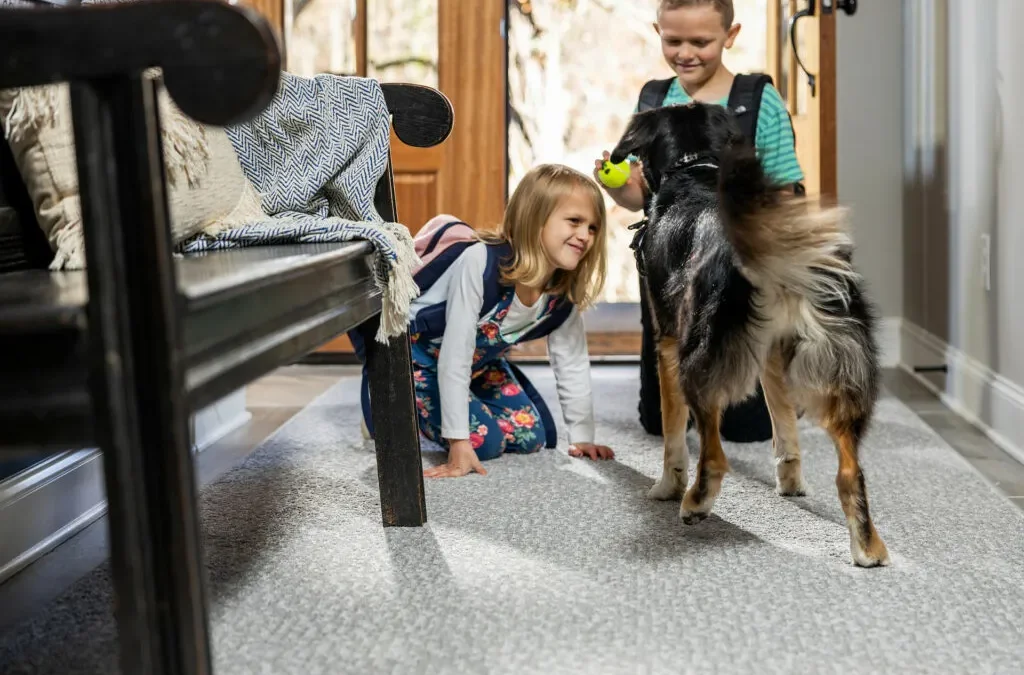 Flooring by Use Kids, Seniors, Pets, High Traffic, & Rentals
