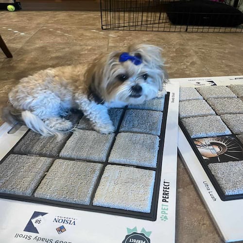 Pet-friendly carpet samples