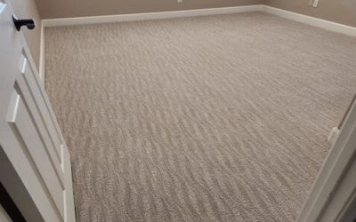 Berber vs. plush carpet: which style fits your home décor needs?