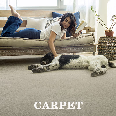 Beautiful and durable carpet with pet proof technology