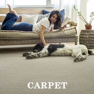 Beautiful and durable carpet with pet proof technology
