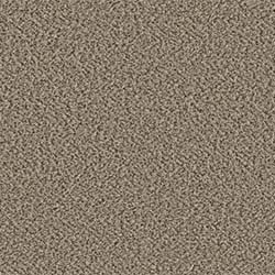 Shaw carpet Color Escape