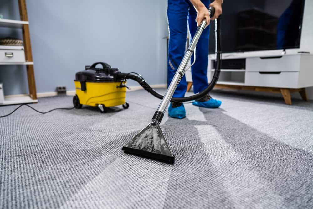 How Often Should Carpets Be Professionally Cleaned?